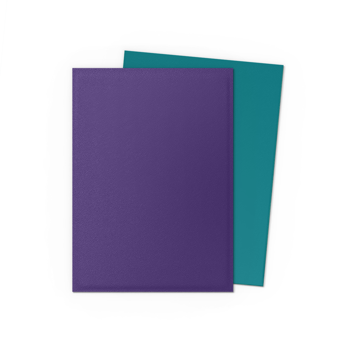 DRAGON SHIELD SLEEVES DUAL MATTE SOUL AND PETROL 100CT