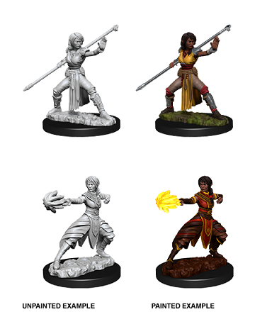 Dnd Unpainted Minis Wv10 Female Half-Elf Monk - Roleplaying Games - The Hooded Goblin