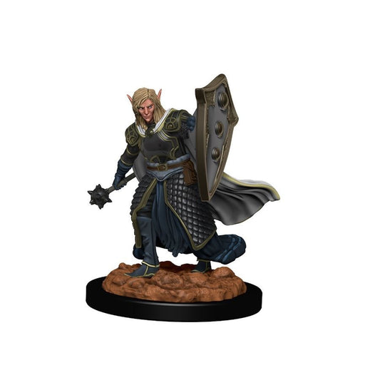 D&D: Icons Of The Realm Premium Figure - Male Elf Cleric - Roleplaying Games - The Hooded Goblin