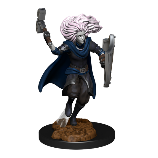 DND Unpainted Minis Wv14 Changeling Cleric - Roleplaying Games - The Hooded Goblin