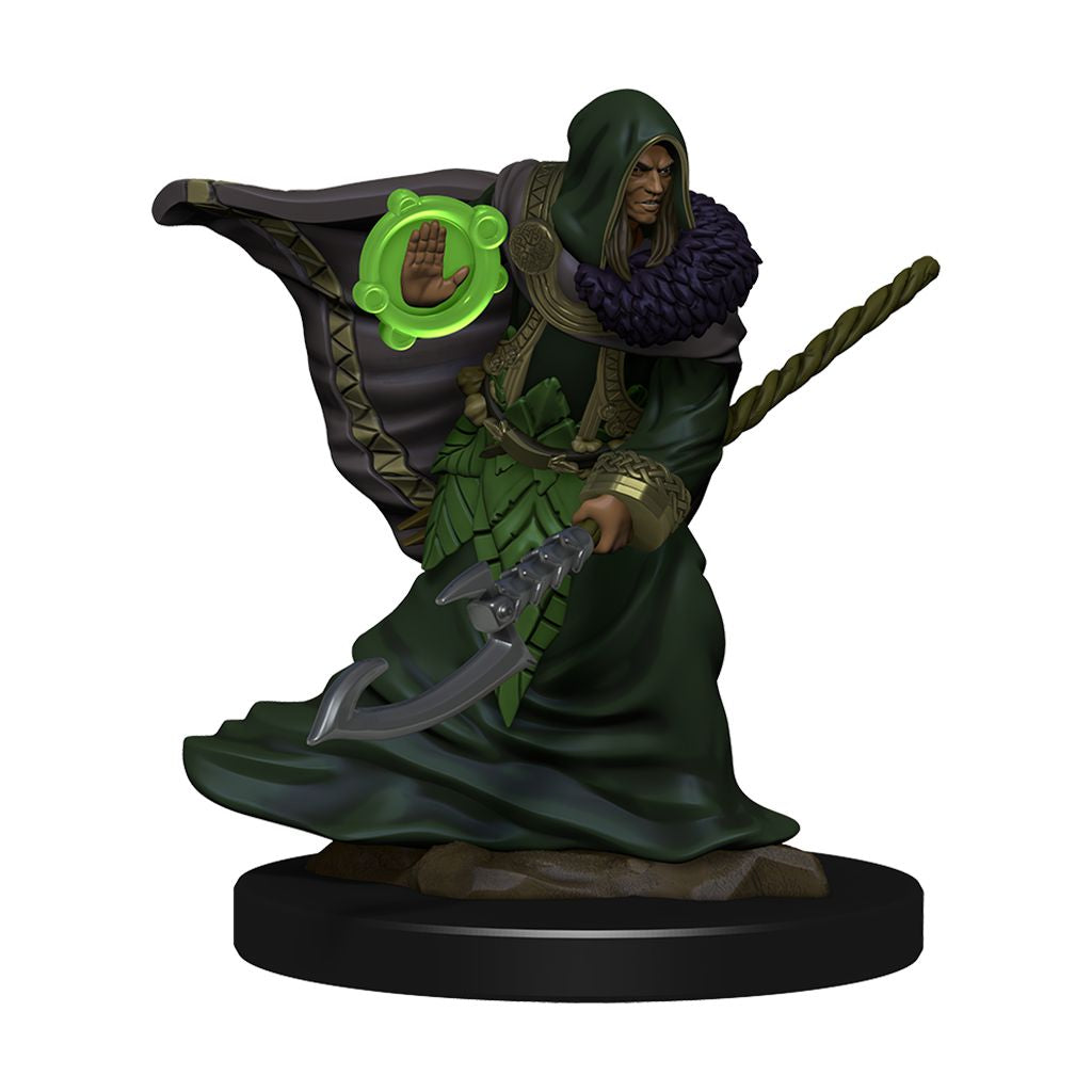 D&D Icons of the Realms Premium Miniatures Elf Druid - - The Hooded Goblin