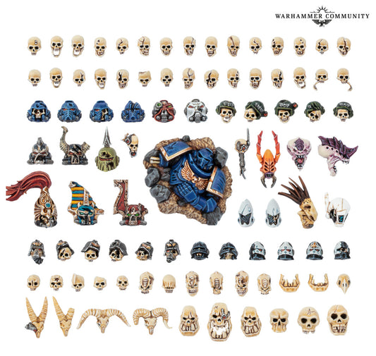 Warhammer 40k: Battlefield Trophies