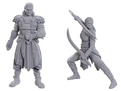 D&D Nolzur's Marvelous Miniatures: Special Edition Baldur's Gate 3 - Jaheira and Halsin