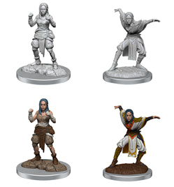 Pathfinder Battles Deep Cuts Unpainted Miniatures: Half-Elf Monk Female