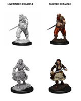 Wizkids Deep Cuts: Pirates - Roleplaying Games - The Hooded Goblin