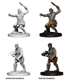 Dungeons & Dragons Nolzur’S Marvelous Miniatures: Nameless One - Roleplaying Games - The Hooded Goblin