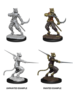 Dungeons & Dragons Nolzur’S Marvelous Miniatures: Tabaxi Rogue (Male) - Dungeons and Dragons - The Hooded Goblin