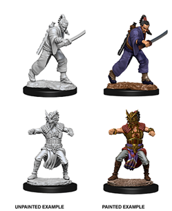 Dungeons & Dragons Nolzur’S Marvelous Miniatures: Human Monk (Male) - Roleplaying Games - The Hooded Goblin