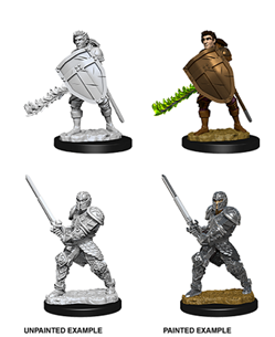 Dungeons & Dragons Nolzur’S Marvelous Miniatures: Human Fighter (Male) - Roleplaying Games - The Hooded Goblin