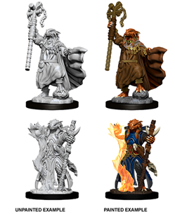 Dungeons & Dragons Nolzur’S Marvelous Miniatures: Dragonborn Sorcerer (Female) - Dungeons and Dragons - The Hooded Goblin