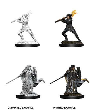D&D Unpainted Minis Wv10 Female Human Paladin - Roleplaying Games - The Hooded Goblin