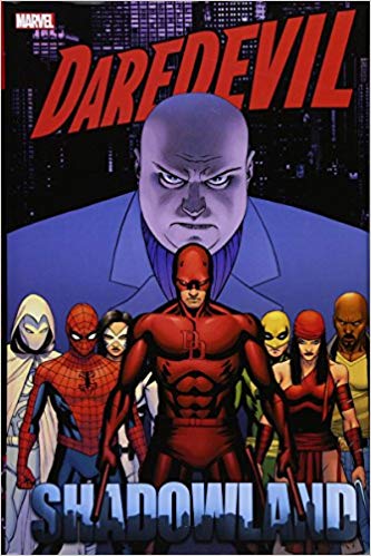 Daredevil: Shadowland Omnibus Hardcover - Graphic Novel - The Hooded Goblin