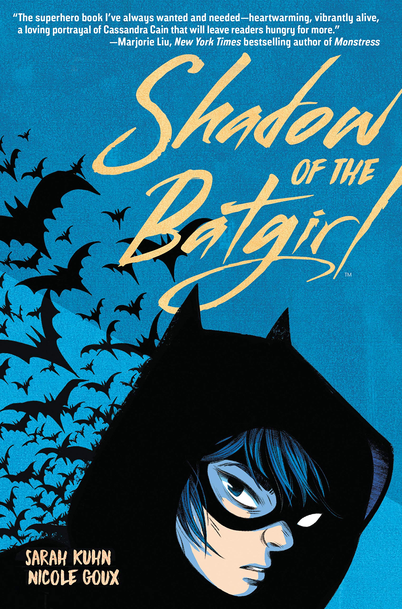 Shadow Of The Batgirl Paperback - Graphic Novel - The Hooded Goblin