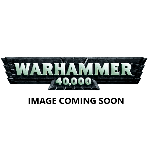 Brother-Captain Stern - Warhammer: 40k - The Hooded Goblin