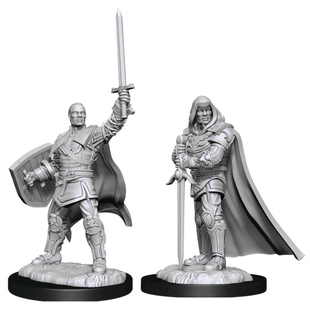 D&D Nolzur'S Marvelous Unpainted Miniatures: Human Paladin - Roleplaying Games - The Hooded Goblin