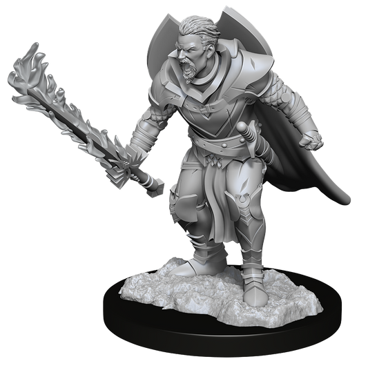 DND Unpainted Minis Wv14 Male Human Champion - Roleplaying Games - The Hooded Goblin