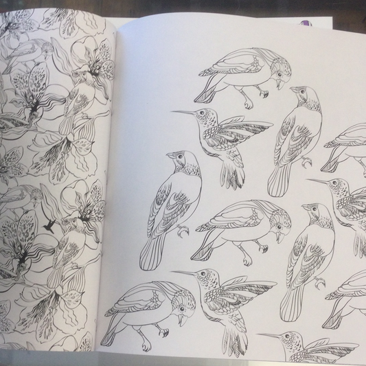 Colouring Book - Exotic Pursuits -  - The Hooded Goblin