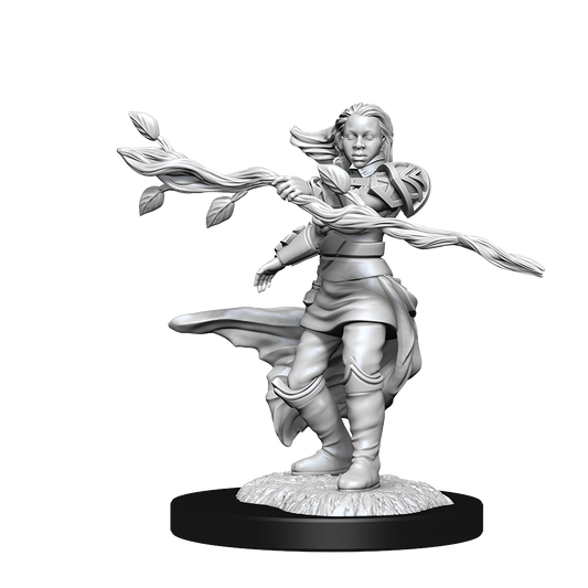 DND Unpainted Minis Wv14 Human Druid - Roleplaying Games - The Hooded Goblin