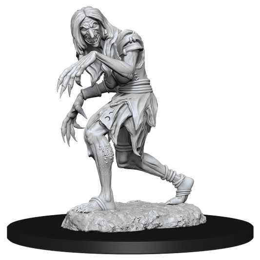 PF Unpainted Minis Wv14 Annis Hag & Green Hag -  - The Hooded Goblin