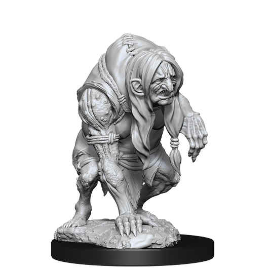 PF Unpainted Minis Wv14 Annis Hag & Green Hag -  - The Hooded Goblin