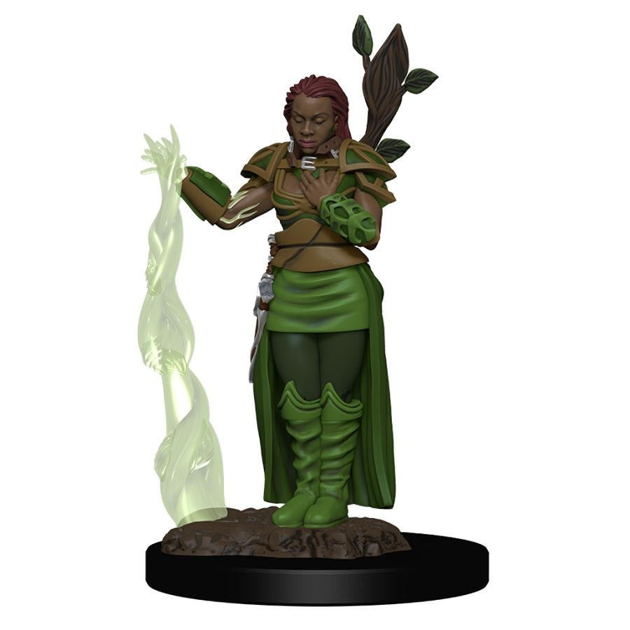 D&D: Icons Of The Realm Premium Figure - Female Human Druid - Roleplaying Games - The Hooded Goblin