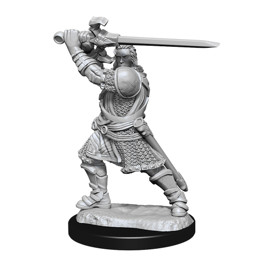 DND Unpainted Minis Wv14 Human Paladin Male - Roleplaying Games - The Hooded Goblin