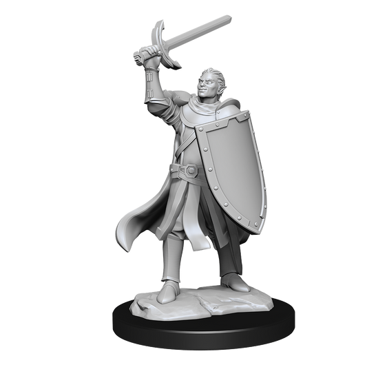 DND Unpainted Minis Wv14 Half Elf Paladin Male - Roleplaying Games - The Hooded Goblin