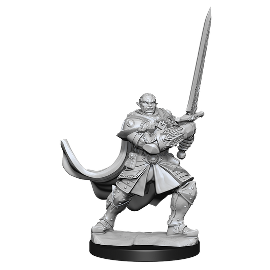 D&D Unpainted Minis Half-Orc Paladin Male