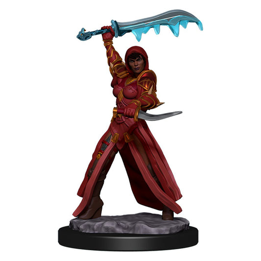 D&D Icons of the Realms Premium Miniatures Human Rouge -  - The Hooded Goblin