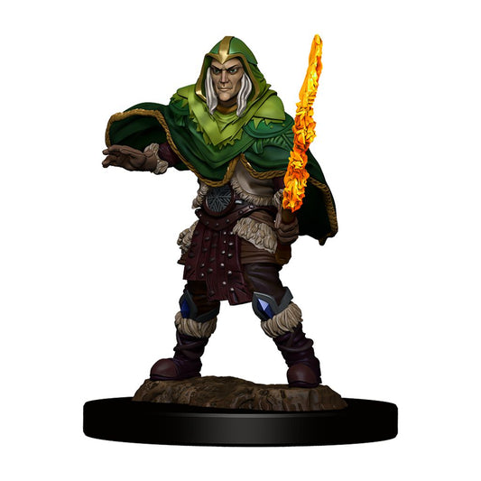 D&D Icons of the Realms Premium Miniatures Elf Fighter -  - The Hooded Goblin