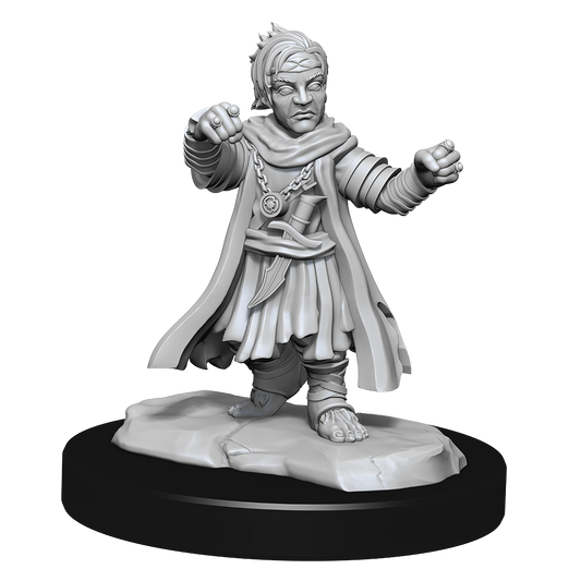 PF Unpainted Minis WV15 Halfling Monk Male