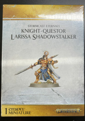 Knight-Questor Larissa Shadowstalker