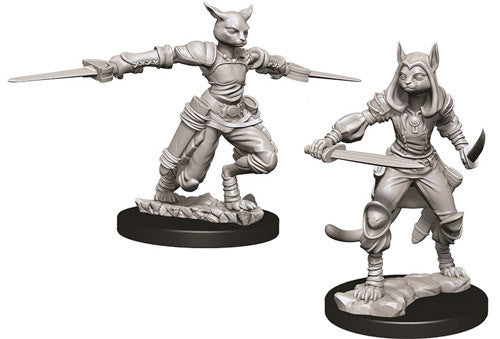 D&D Nolzur'S Marvelous Unpainted Miniatures: Female Tabaxi Rogue - Roleplaying Games - The Hooded Goblin