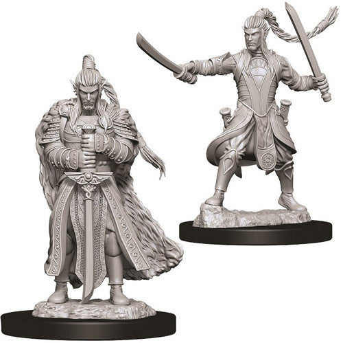 D&D Nolzur'S Marvelous Unpainted Miniatures: Male Elf Paladin - Roleplaying Games - The Hooded Goblin